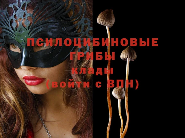 PSILOCYBIN Абинск