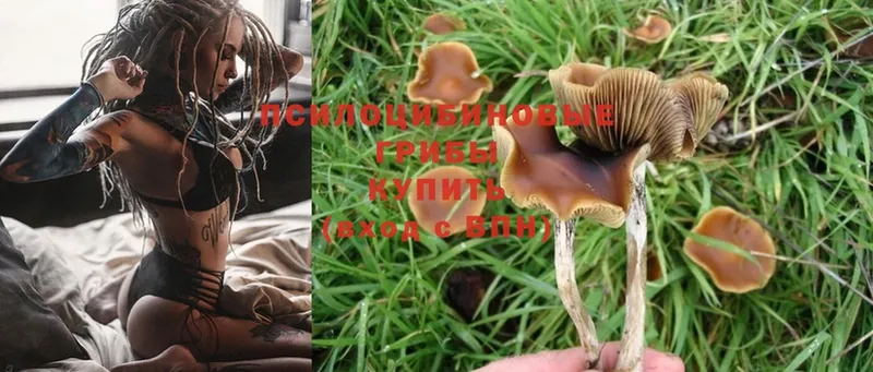 Галлюциногенные грибы Magic Shrooms  даркнет сайт  blacksprut ссылка  Алдан 